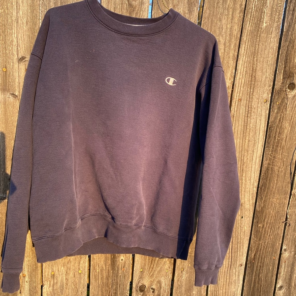 Champion Men's Navy Sweater